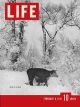 Life Magazine, February 8, 1937 - Wyoming Winter