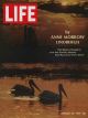 Life Magazine, February 28, 1969 - Herons
