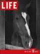 Life Magazine, July 26, 1937 - Polo Horse