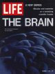 Life Magazine, October 1, 1971 - Human brain