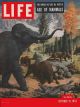 Life Magazine, October 19, 1953 - Age of mammals