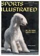 Sports Illustrated, February 8, 1960 - Bedlington Dog