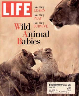 Original Life Magazine from May 1995, 1 - Old Life Magazines
