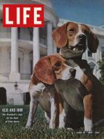 Life Magazine, June 19, 1964 - President Johnson's Beagles, dogs