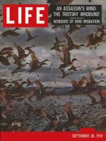Life Magazine, September 28, 1959 - Migrating birds