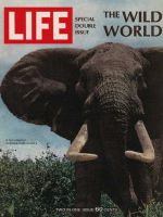 Life Magazine, December 22, 1967 - Bull Elephant