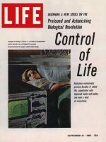 Life Magazine, September 10, 1965 - Expectant mother